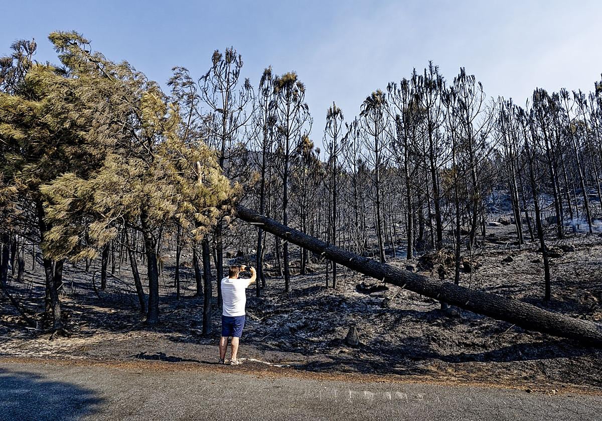 Superficie afectada por el incendio de Ávila, entre Cuevas del Valle, Mombeltrán y El Arenal.