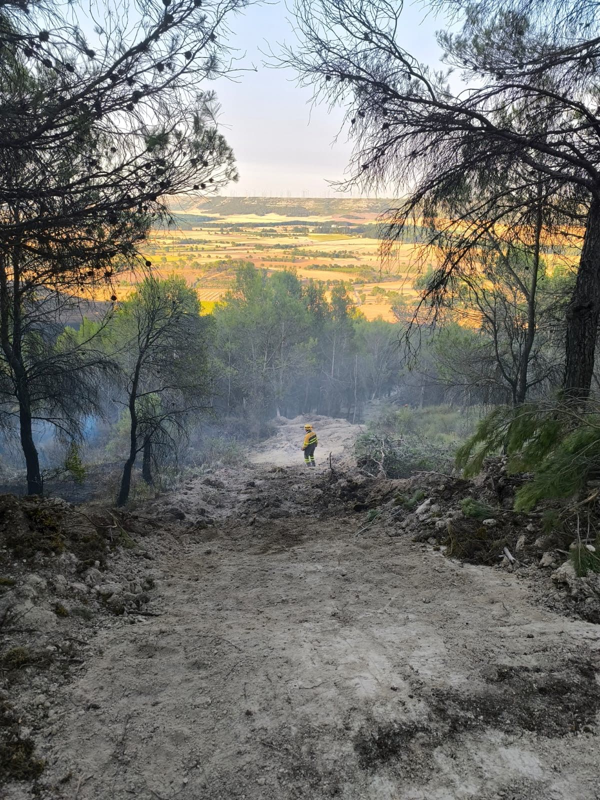 Incendio en el término municipal de Astudillo.