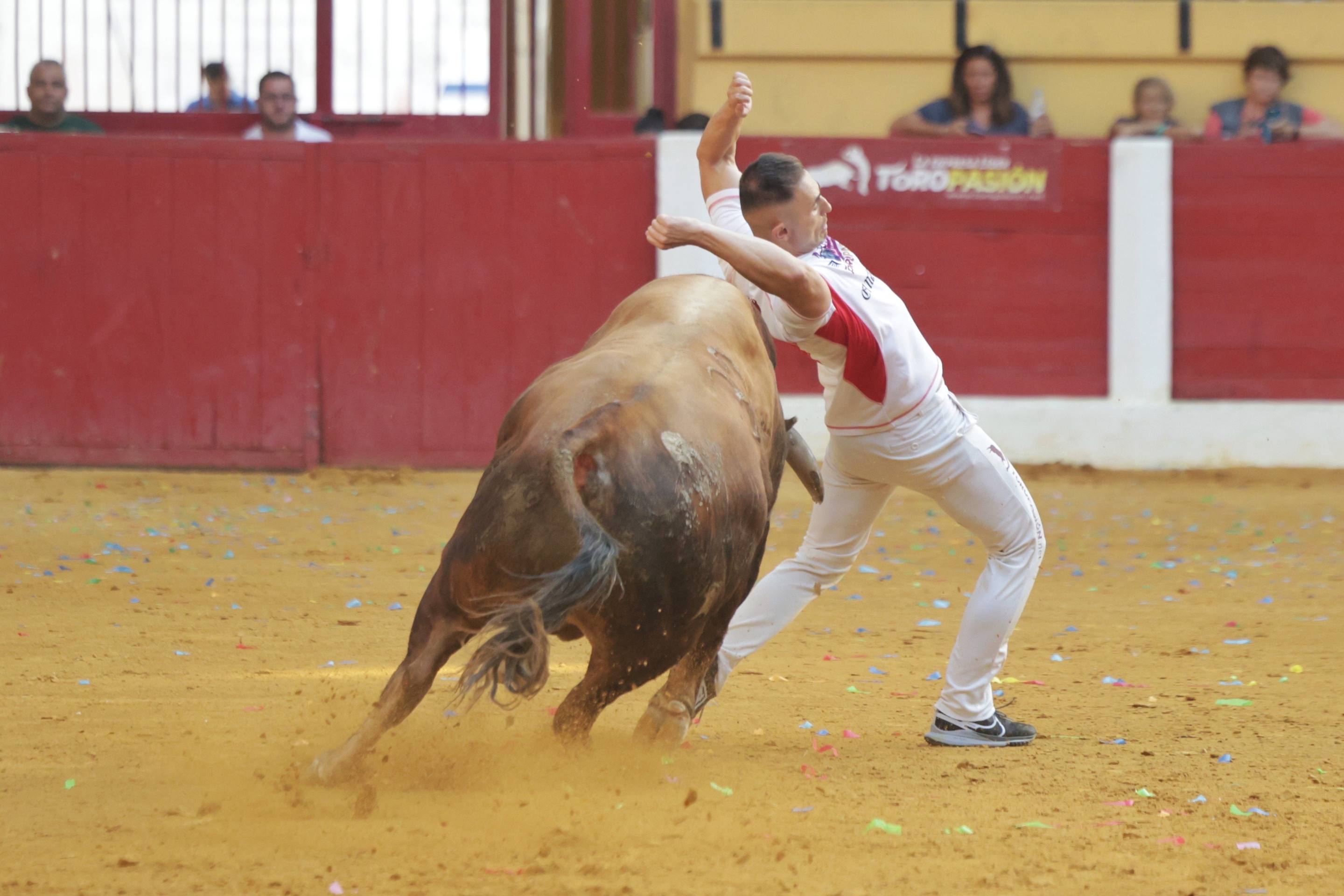 El regreso de la Liga del Corte Puro a Íscar, en imágenes