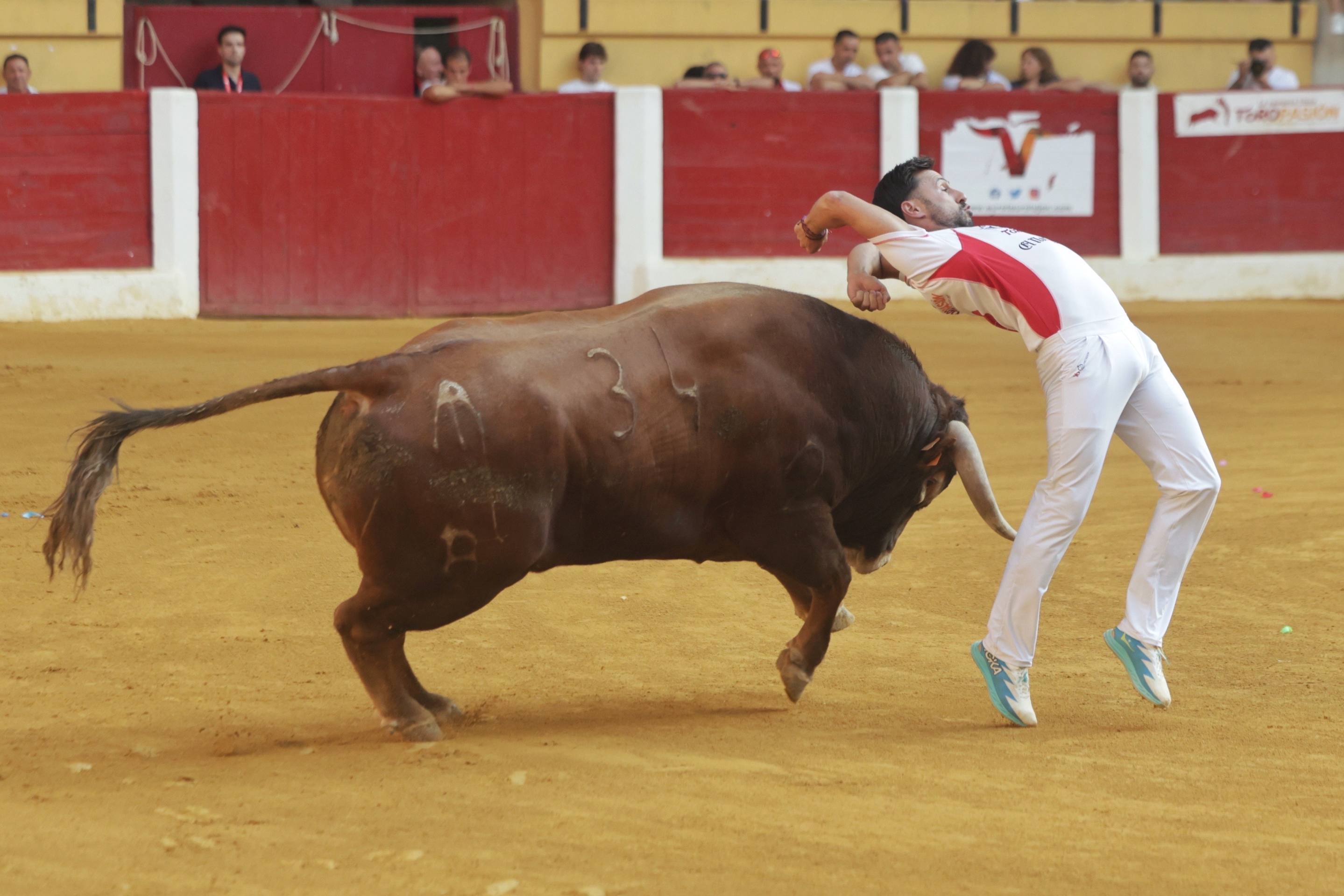 El regreso de la Liga del Corte Puro a Íscar, en imágenes