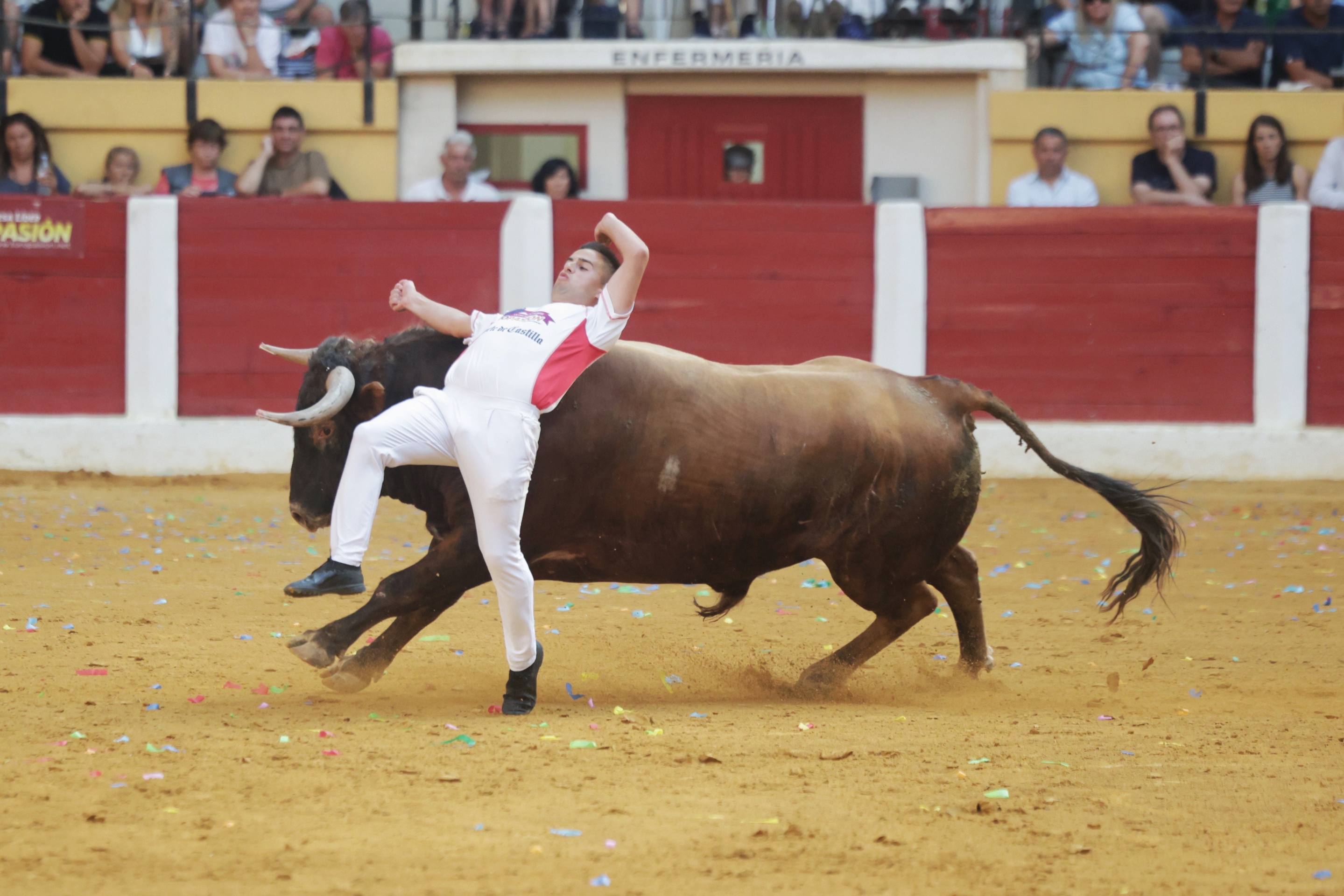 El regreso de la Liga del Corte Puro a Íscar, en imágenes