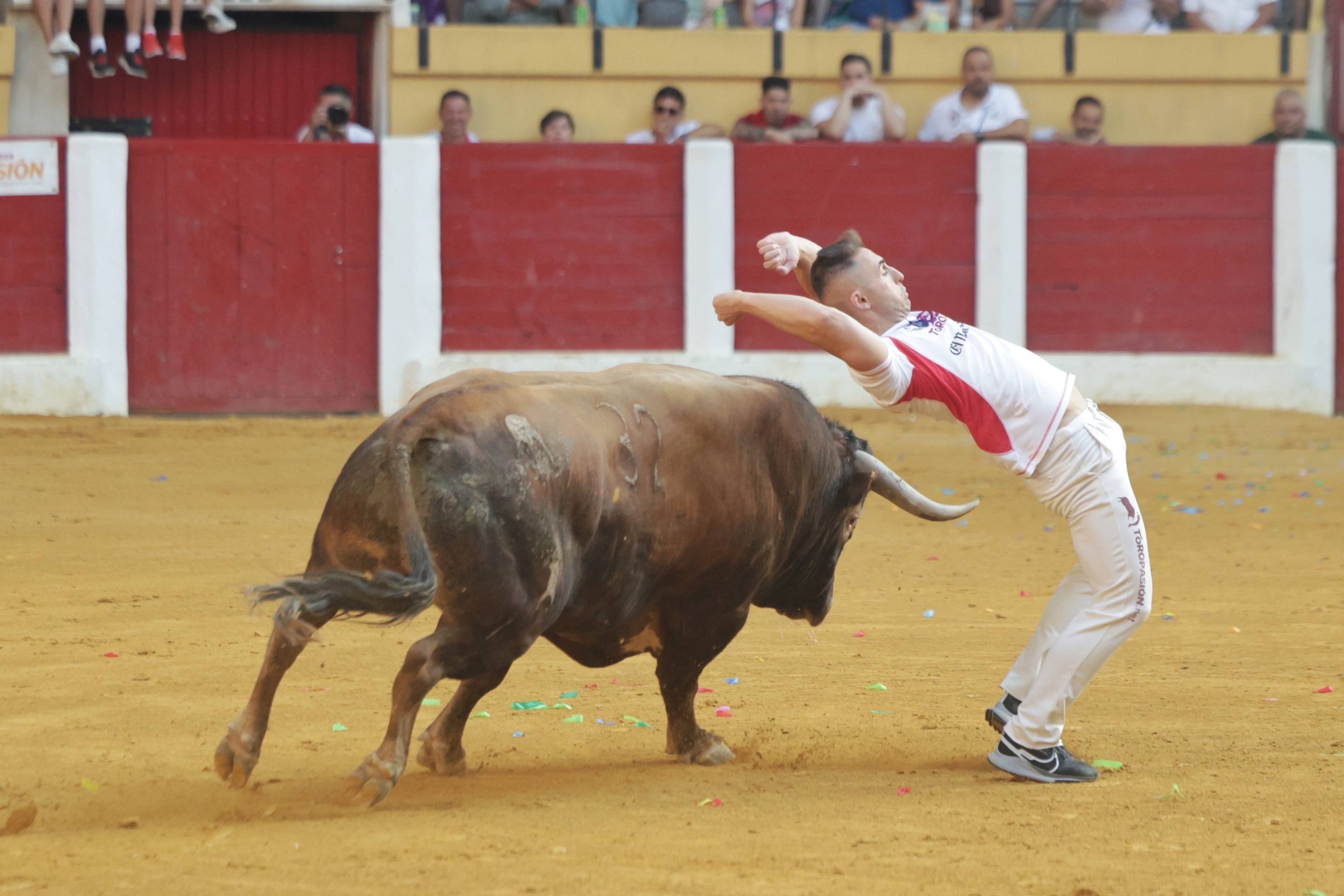 El regreso de la Liga del Corte Puro a Íscar, en imágenes