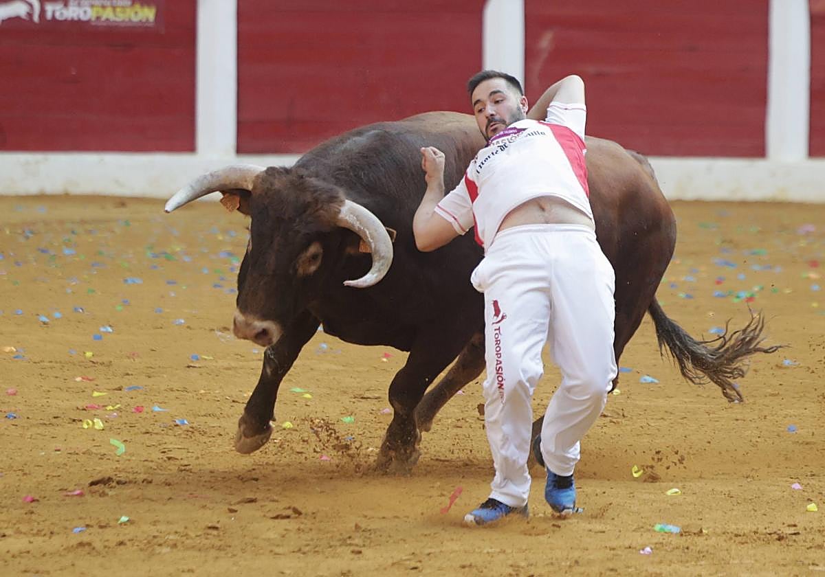 El regreso de la Liga del Corte Puro a Íscar, en imágenes