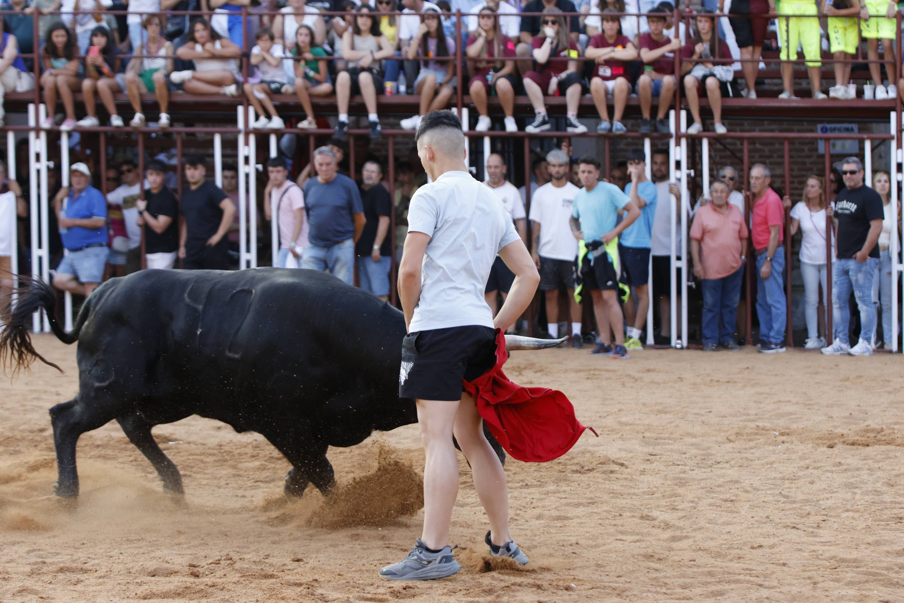 Las imágenes del encierro de La Seca