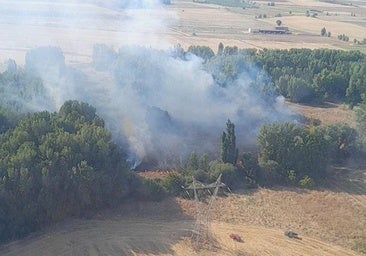 Controlado un incendio en las afueras de Mayorga