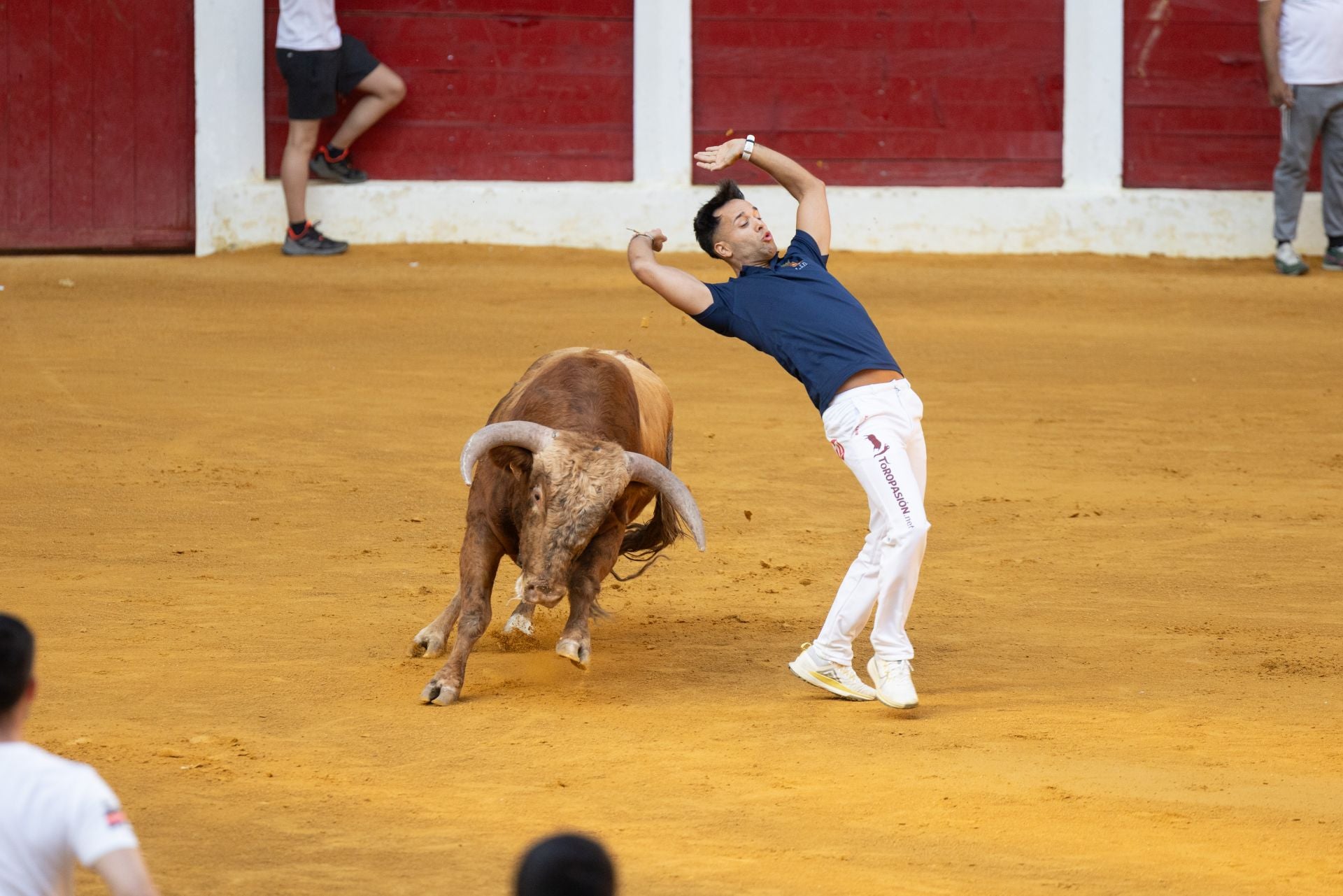 Encierro y probadilla en las fiestas de Íscar