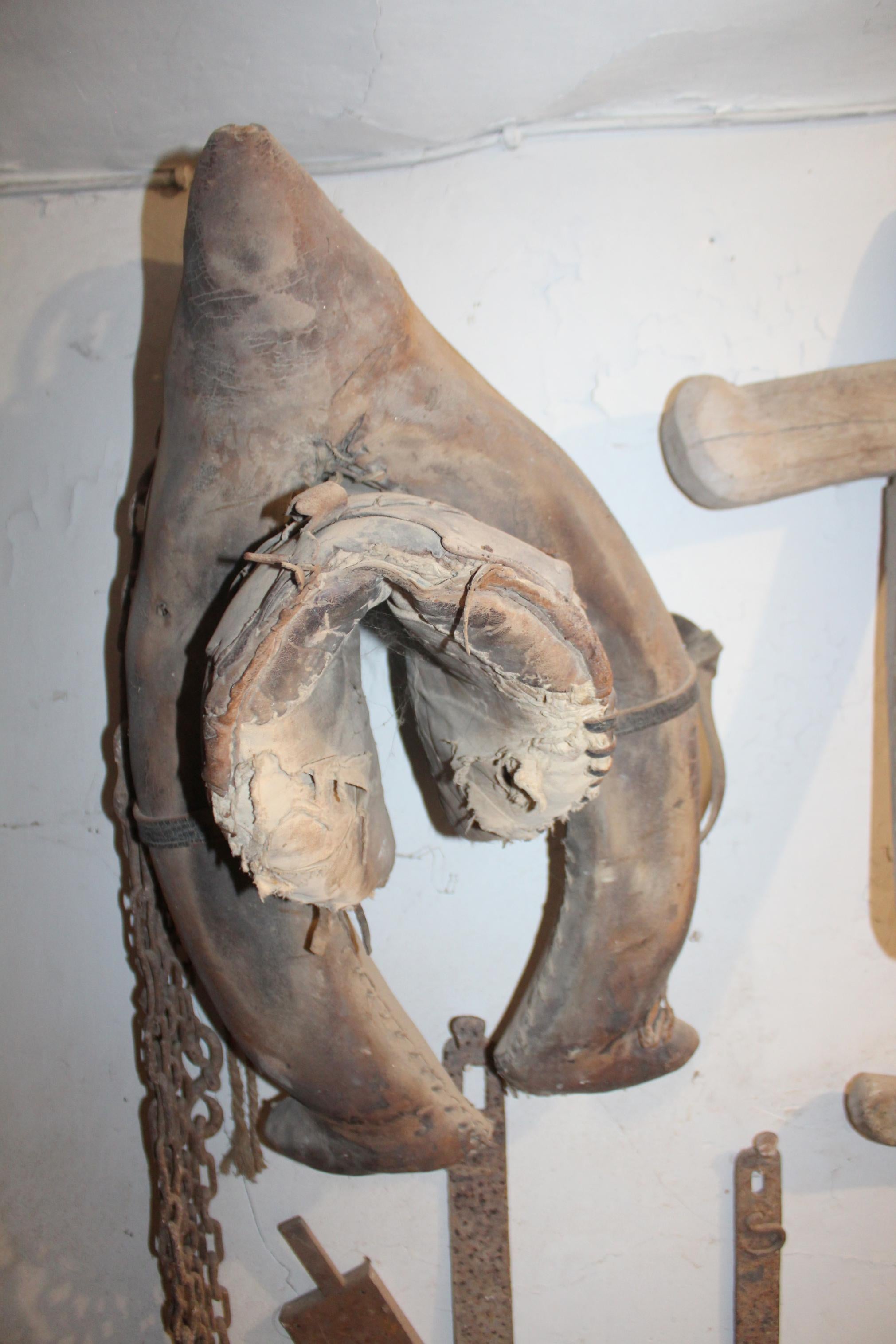 XI Ruta Guiada por las Bodegas y Cuevas de Dueñas