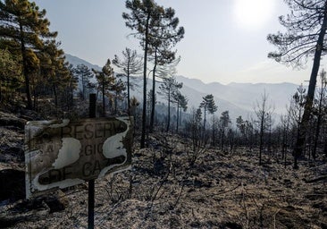 El incendio de Ávila baja al nivel 0 de peligrosidad