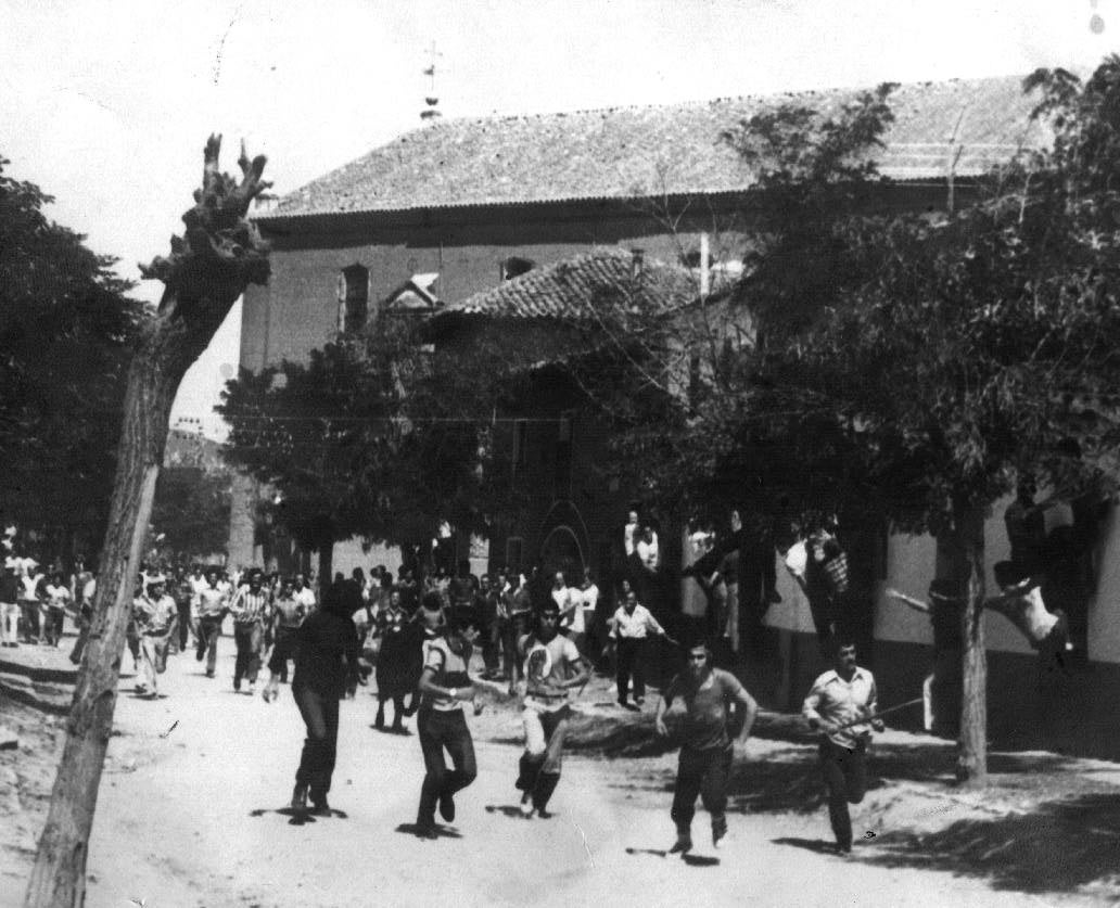 Fotografía antigua de los encierros de novillos de las fiestas de La Seca.