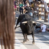El toro avanza tras haber arrollado a uno de los corredores.