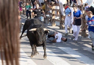 Cinco heridos de diversa consideración en el cuarto encierro de las fiestas de Íscar