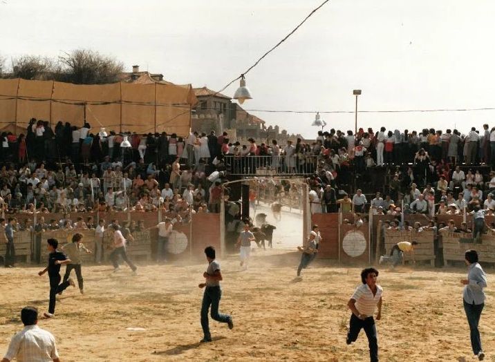 Encierro de las fiestas de Simancas de 1991.