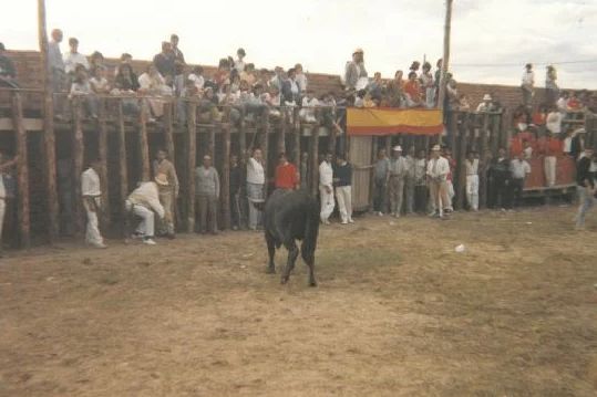 Festejo taurino en Traspinedo. Julio de 1988.