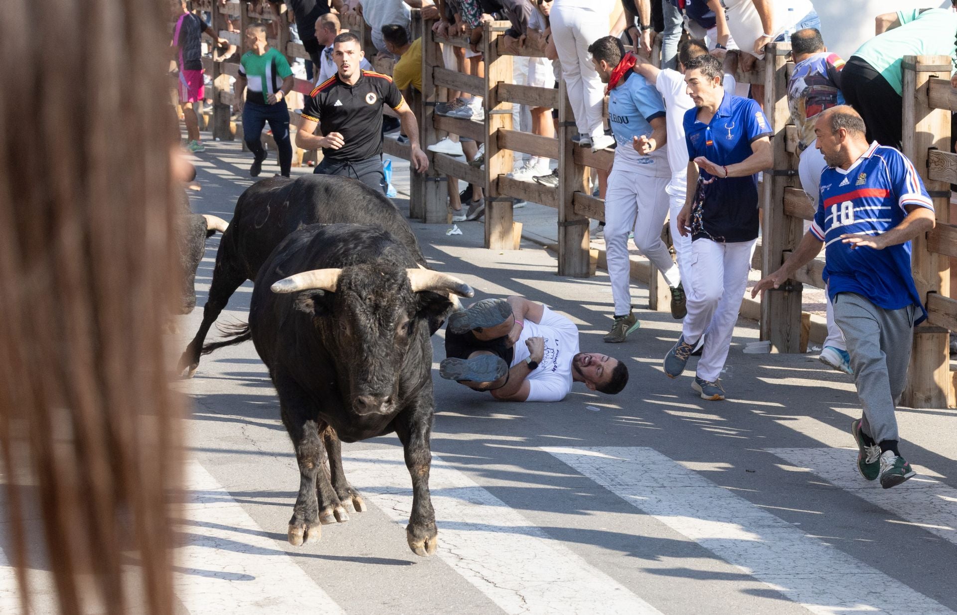 Uno de los heridos del cuarto encierro de Íscar.