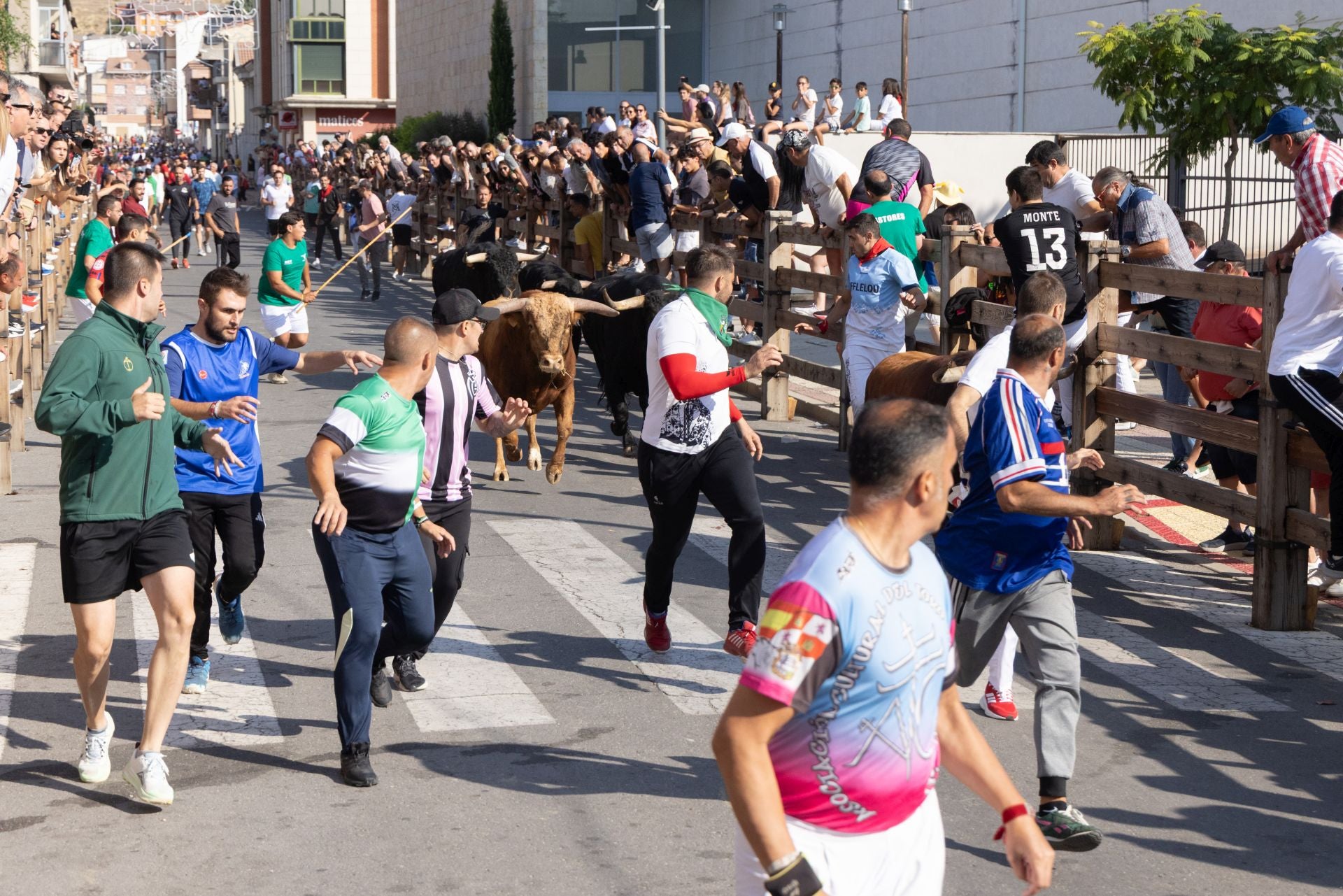 Los corredores del cuarto encierro de las fiestas Íscar.
