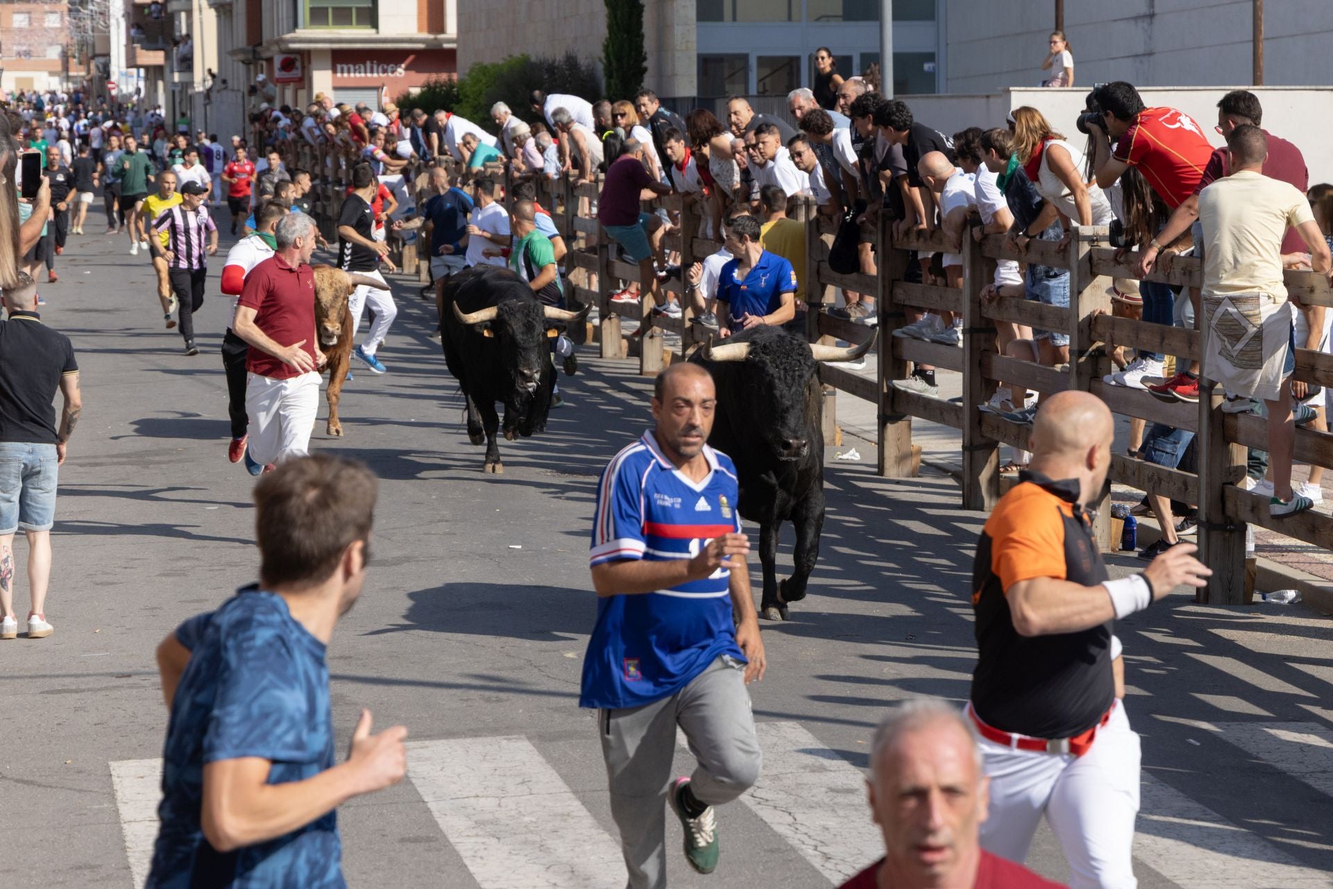 Los corredores del cuarto encierro de las fiestas Íscar.