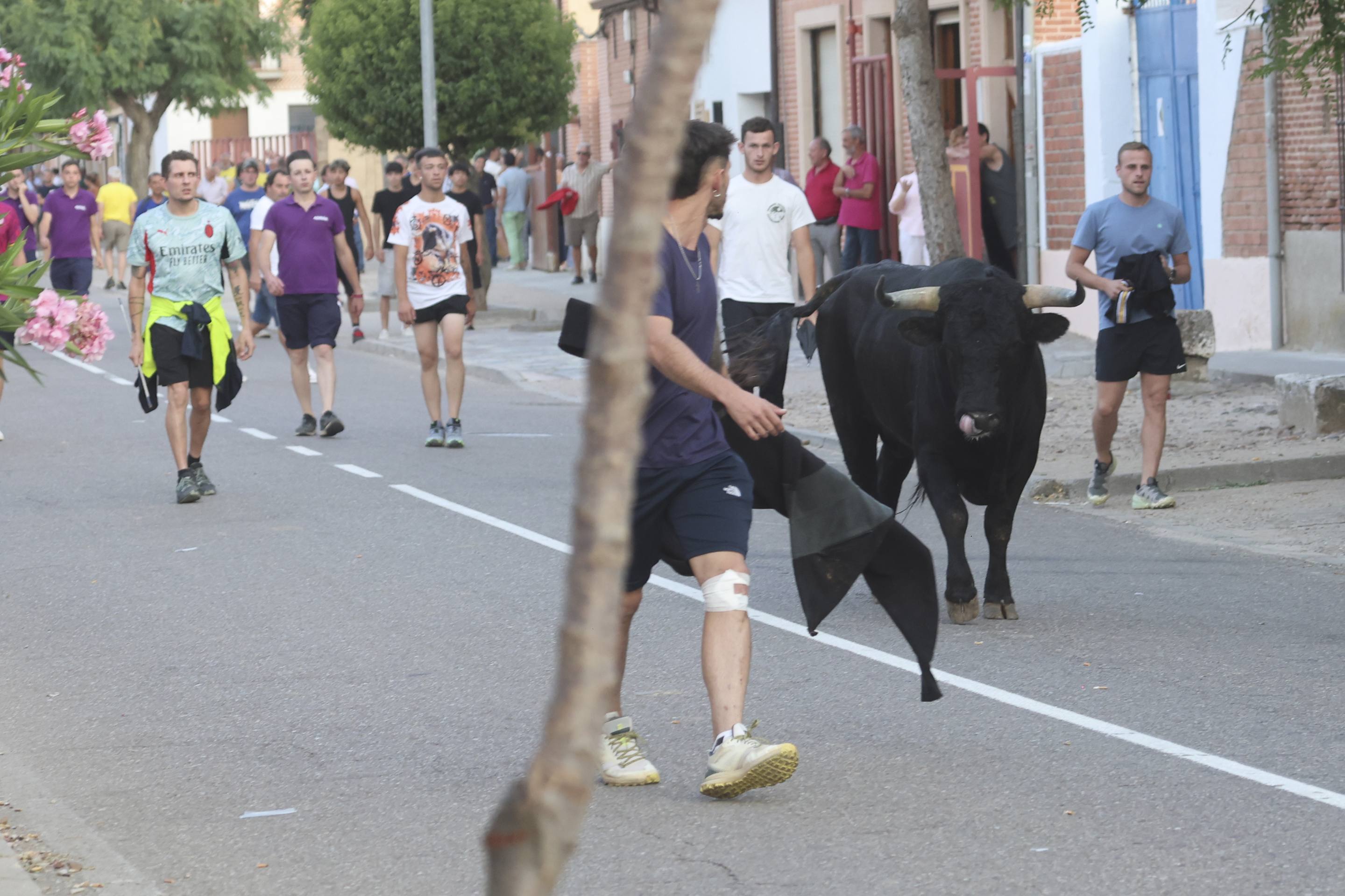 La jornada taurina en La Seca, en imágenes