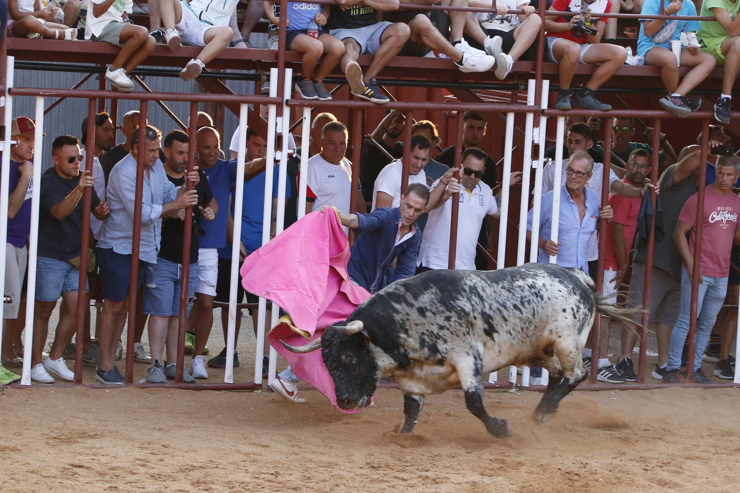 La jornada taurina en La Seca, en imágenes