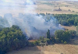 Incendio forestal declarado en Mayorga, el sábado.