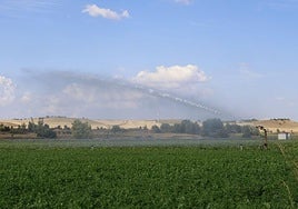 Tierras de cultivo en Magaz de Pisuerga.