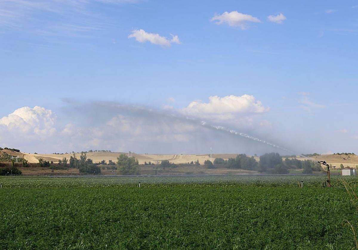 Tierras de cultivo en Magaz de Pisuerga.