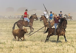 Caballista en el encierro mixto de Íscar