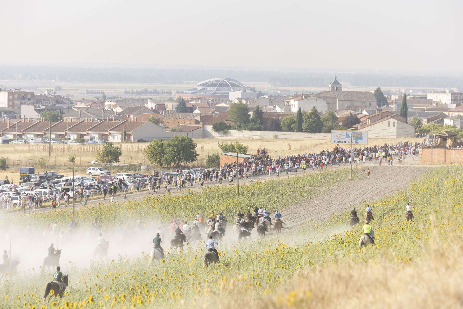 Las imágenes del encierro mixto de Íscar