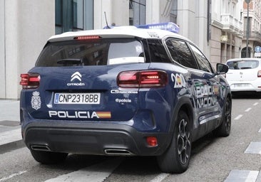 Detenido tras empujar a una mujer que le había recriminado sujetar a un cachorro por el cuello