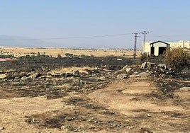 Parte de la superficie afectada.