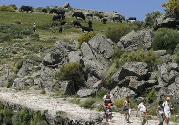 Un punto de Castilla y León registra la temperatura más baja del país en plena ola de calor