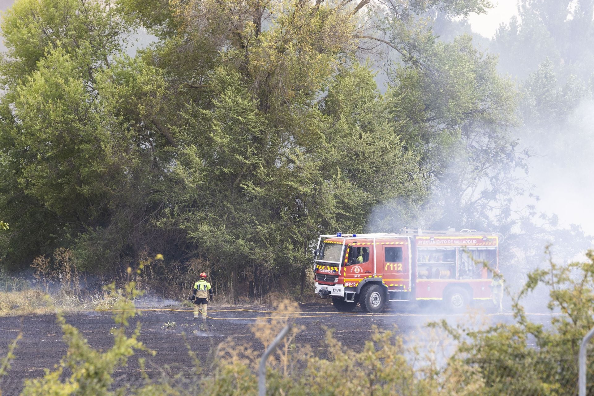 El incendio entre la VA-30 y la vía del tren en Arca Real, en imágenes