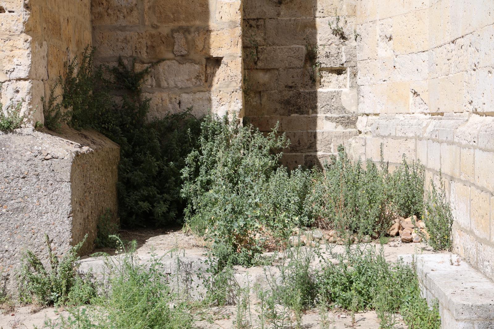 Lateral del Monasterio de la Santa Espina.