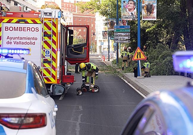 Los bomberos recogen la motosierra.