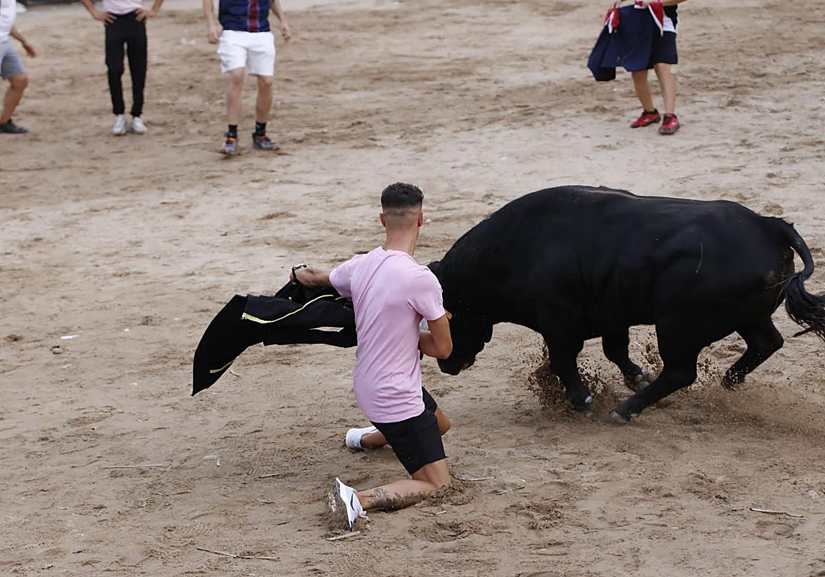 Las imágenes del VII Toro del Caño en Castrejón de Trabancos