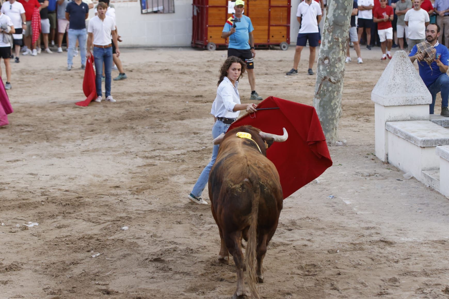 Las imágenes del VII Toro del Caño en Castrejón de Trabancos