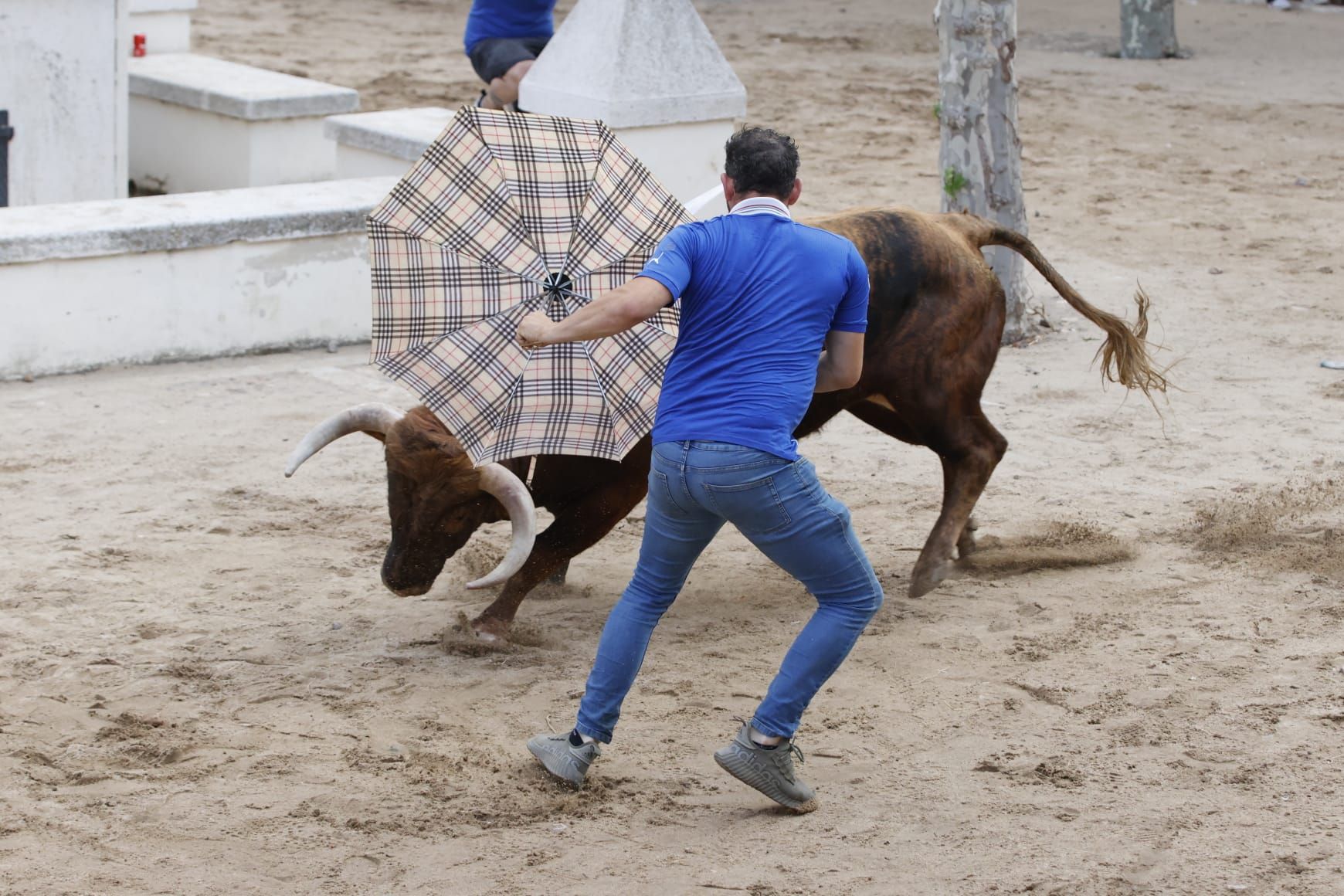 Las imágenes del VII Toro del Caño en Castrejón de Trabancos