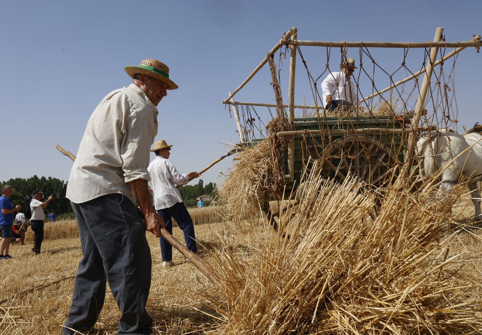 Castrillo de Villavega retrocede al pasado con la Fiesta de la Trilla
