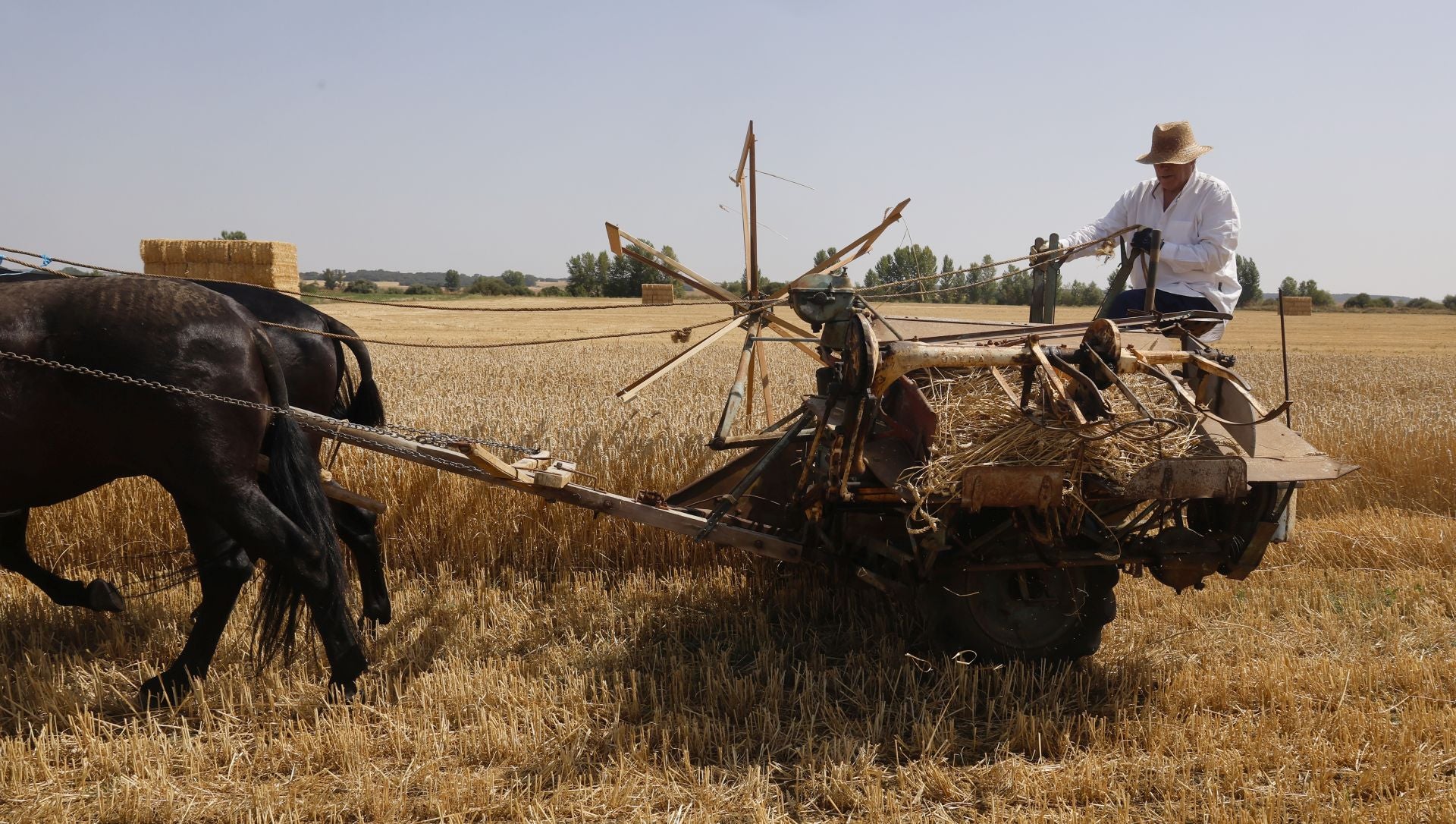 Castrillo de Villavega retrocede al pasado con la Fiesta de la Trilla