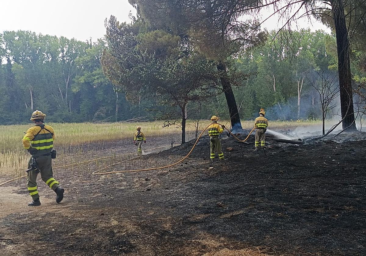 Trabajos para extinguir el conato de incendio de este sábado en Cuéllar.
