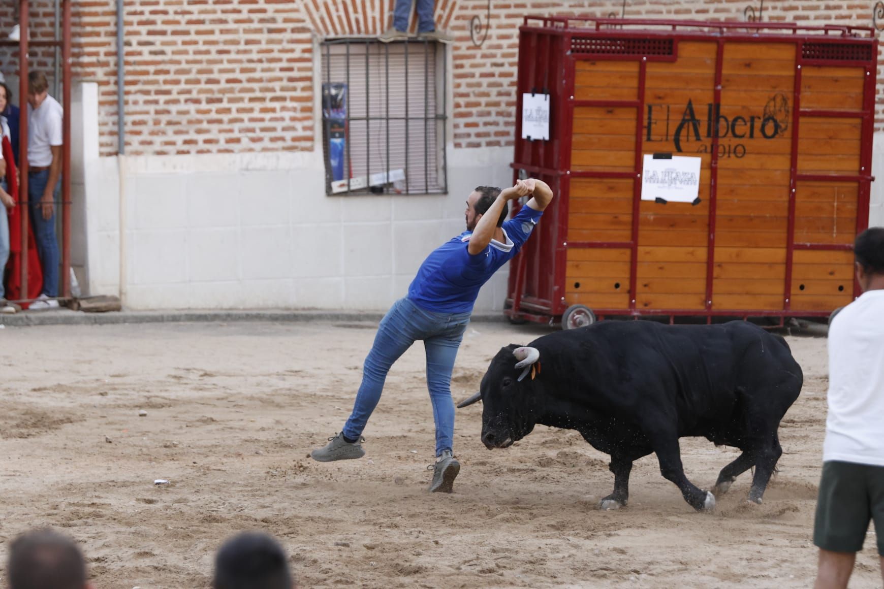 Las imágenes del VII Toro del Caño en Castrejón de Trabancos