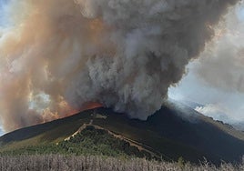 Imagen de las BRIF actuando en el lugar.