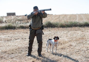 Moderado optimismo para la media veda de caza en Castilla y León