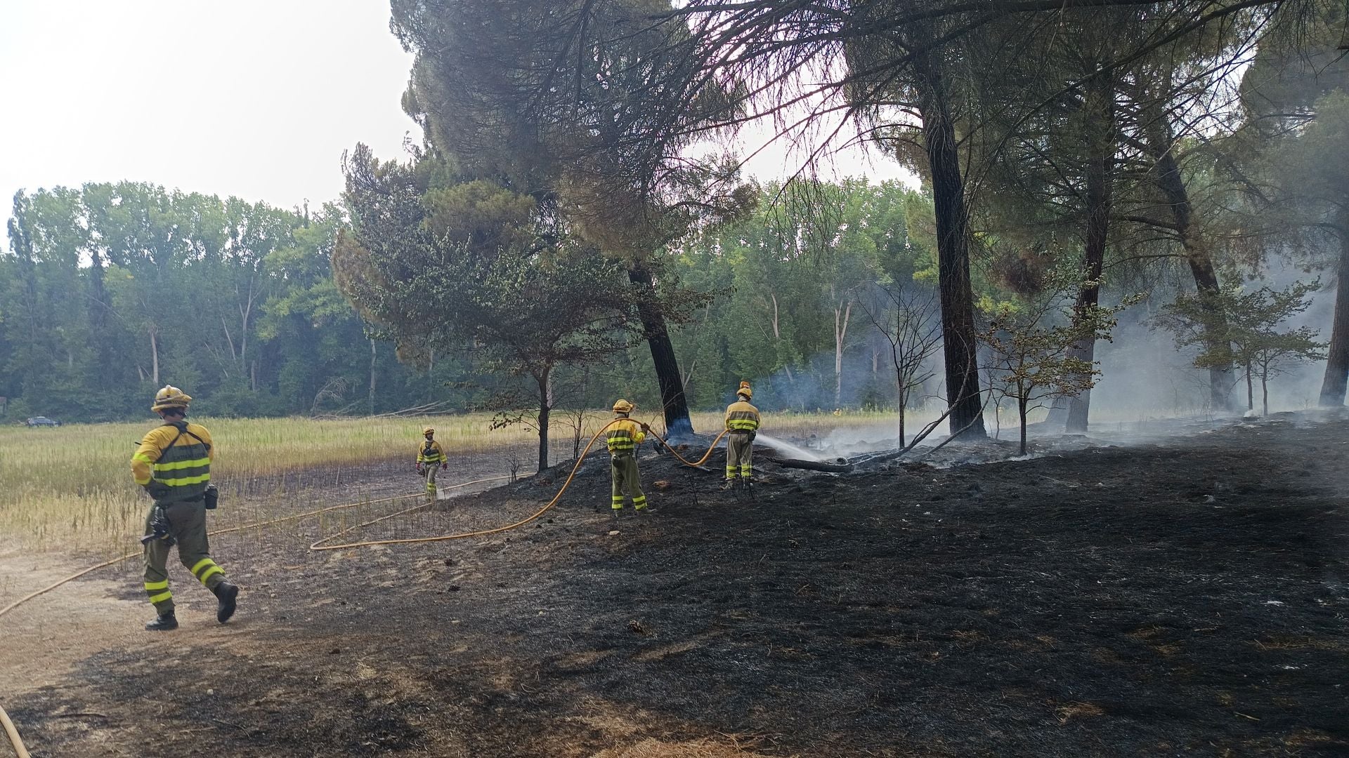 Fotos del incendio en Cuéllar junto al río Cega