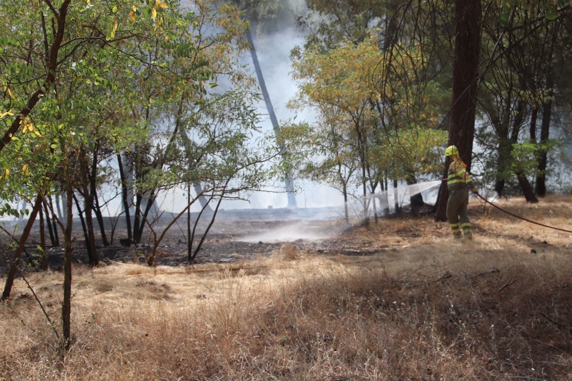 Fotos del incendio en Cuéllar junto al río Cega