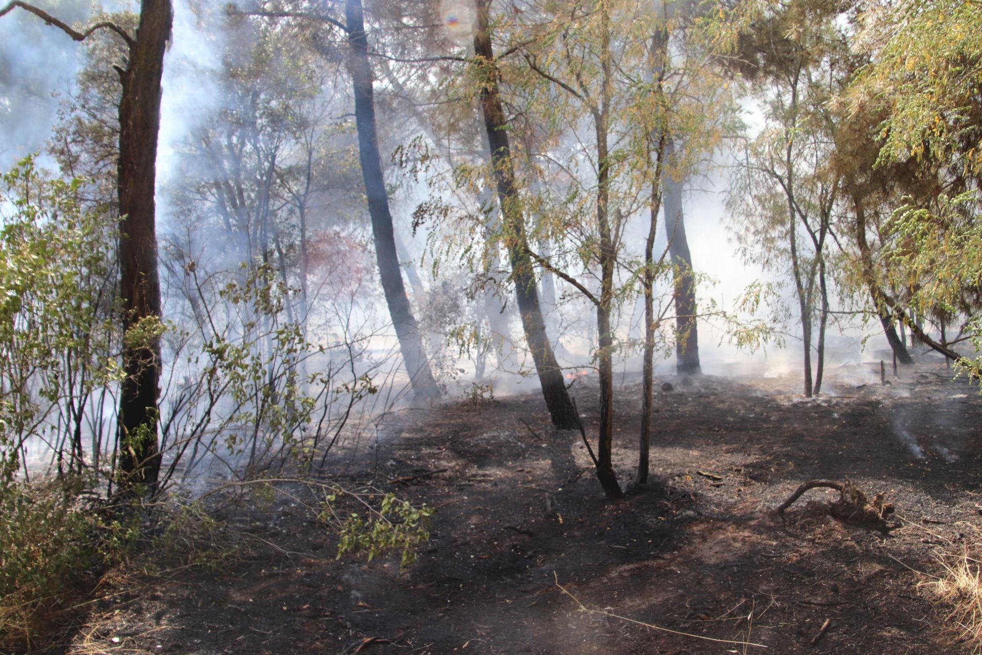 Fotos del incendio en Cuéllar junto al río Cega