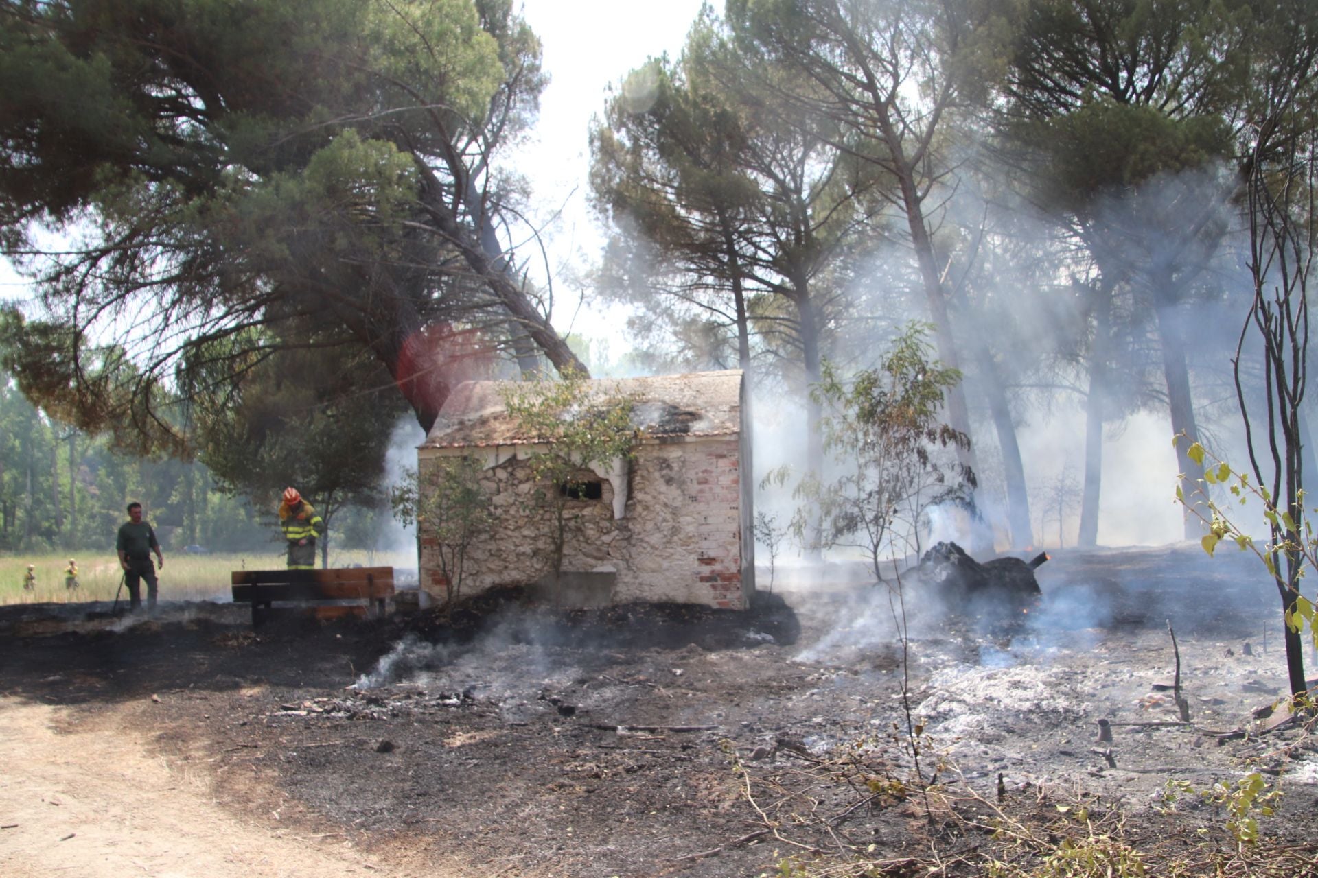 Fotos del incendio en Cuéllar junto al río Cega