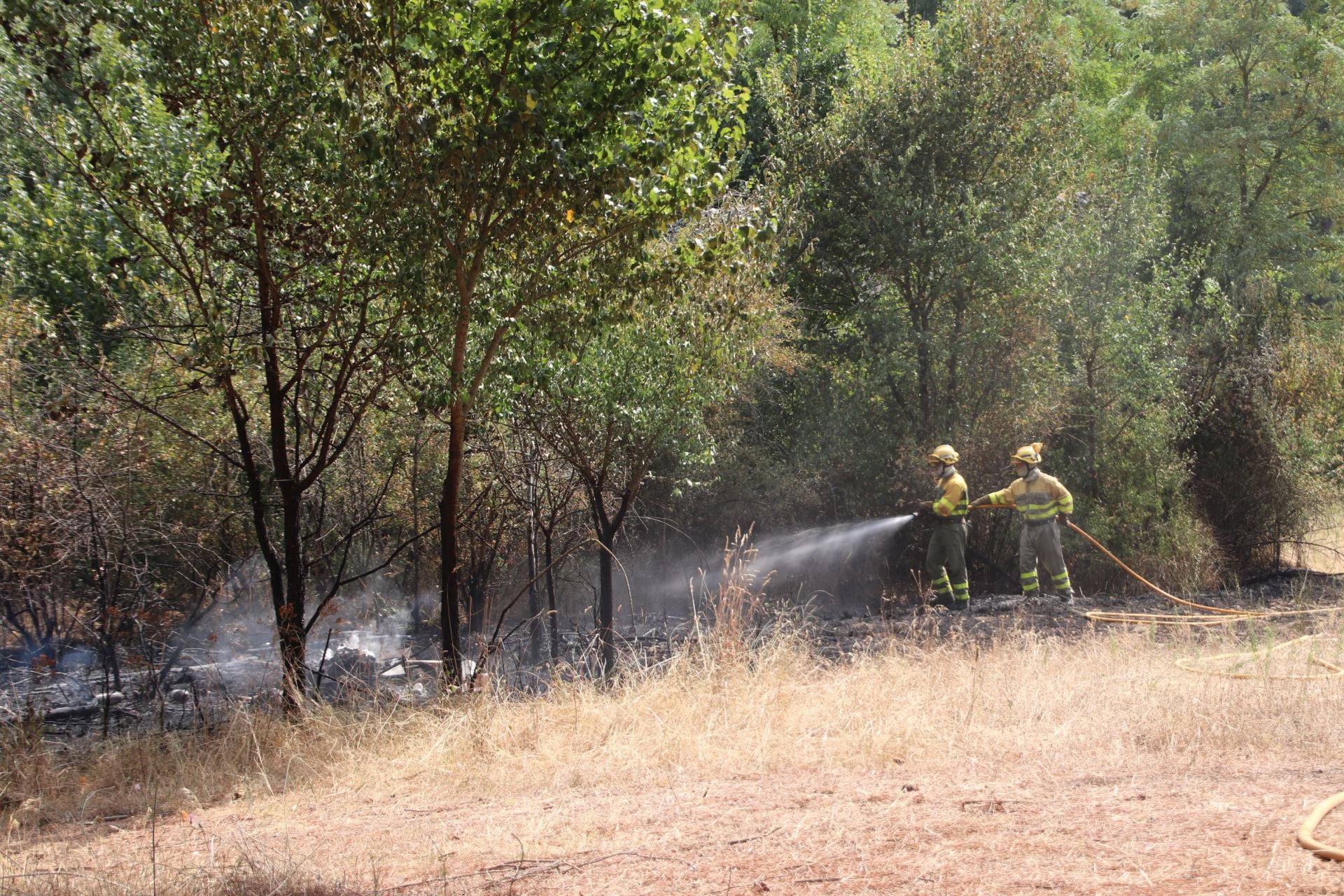 Fotos del incendio en Cuéllar junto al río Cega