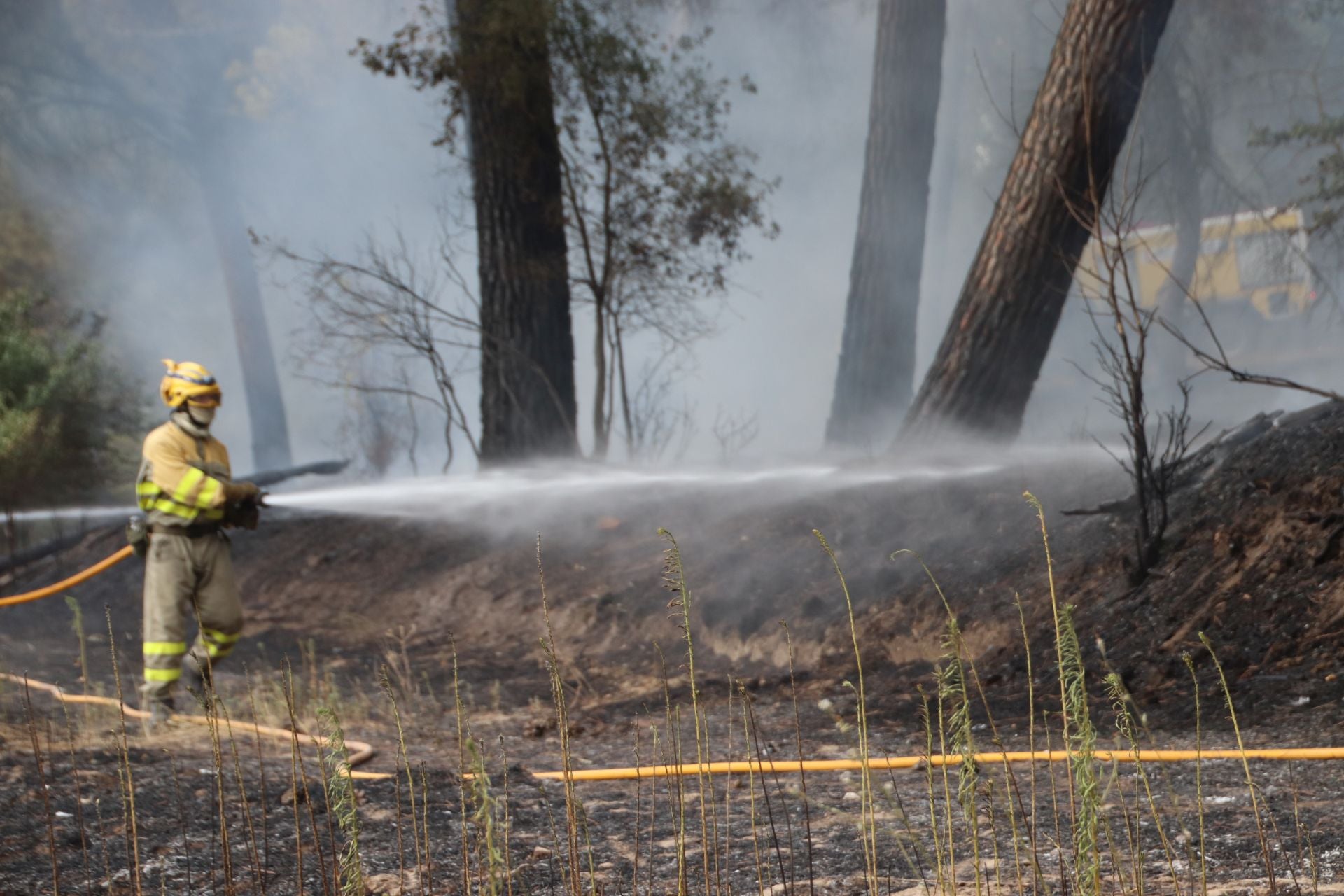 Fotos del incendio en Cuéllar junto al río Cega