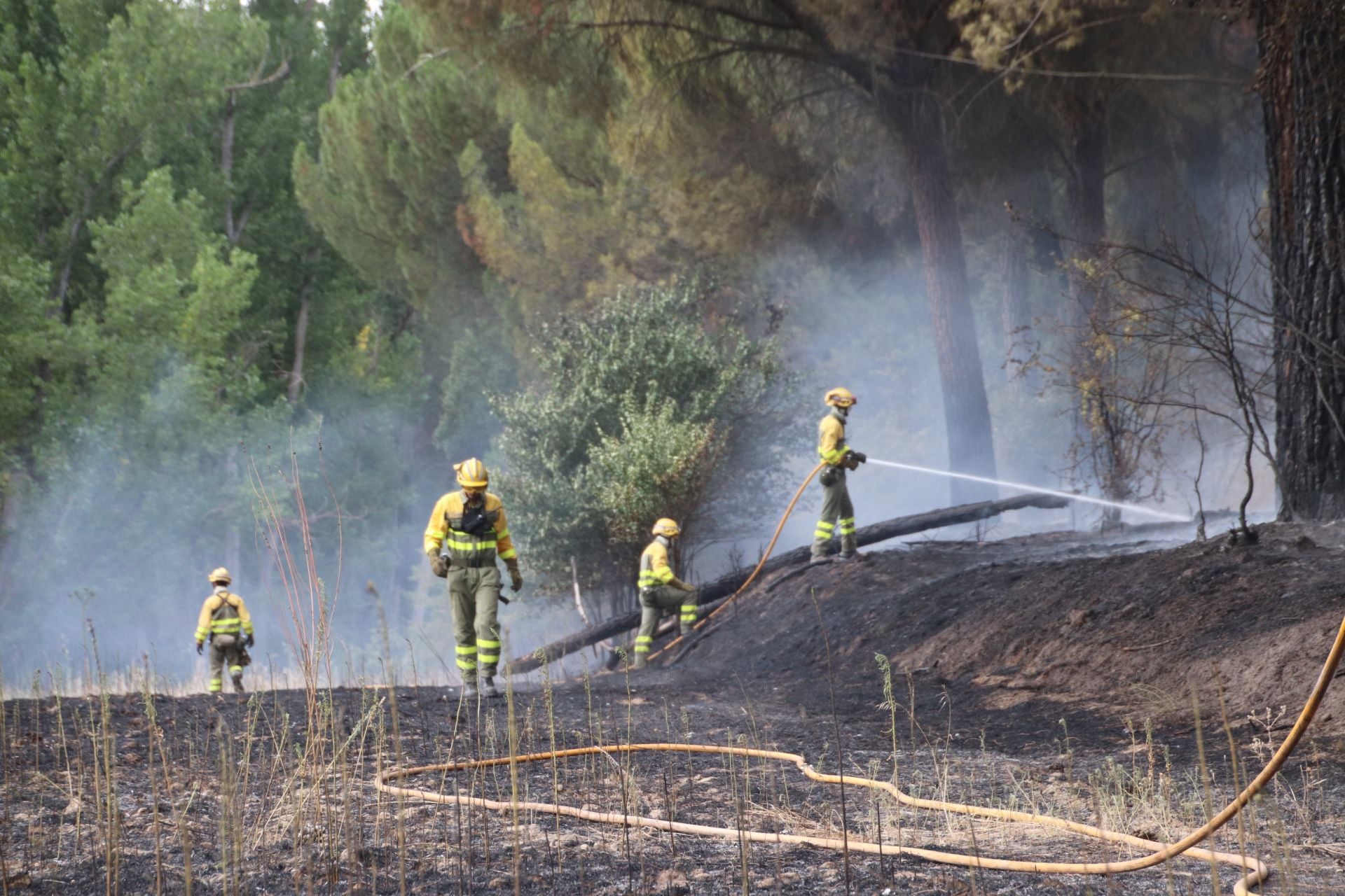 Fotos del incendio en Cuéllar junto al río Cega