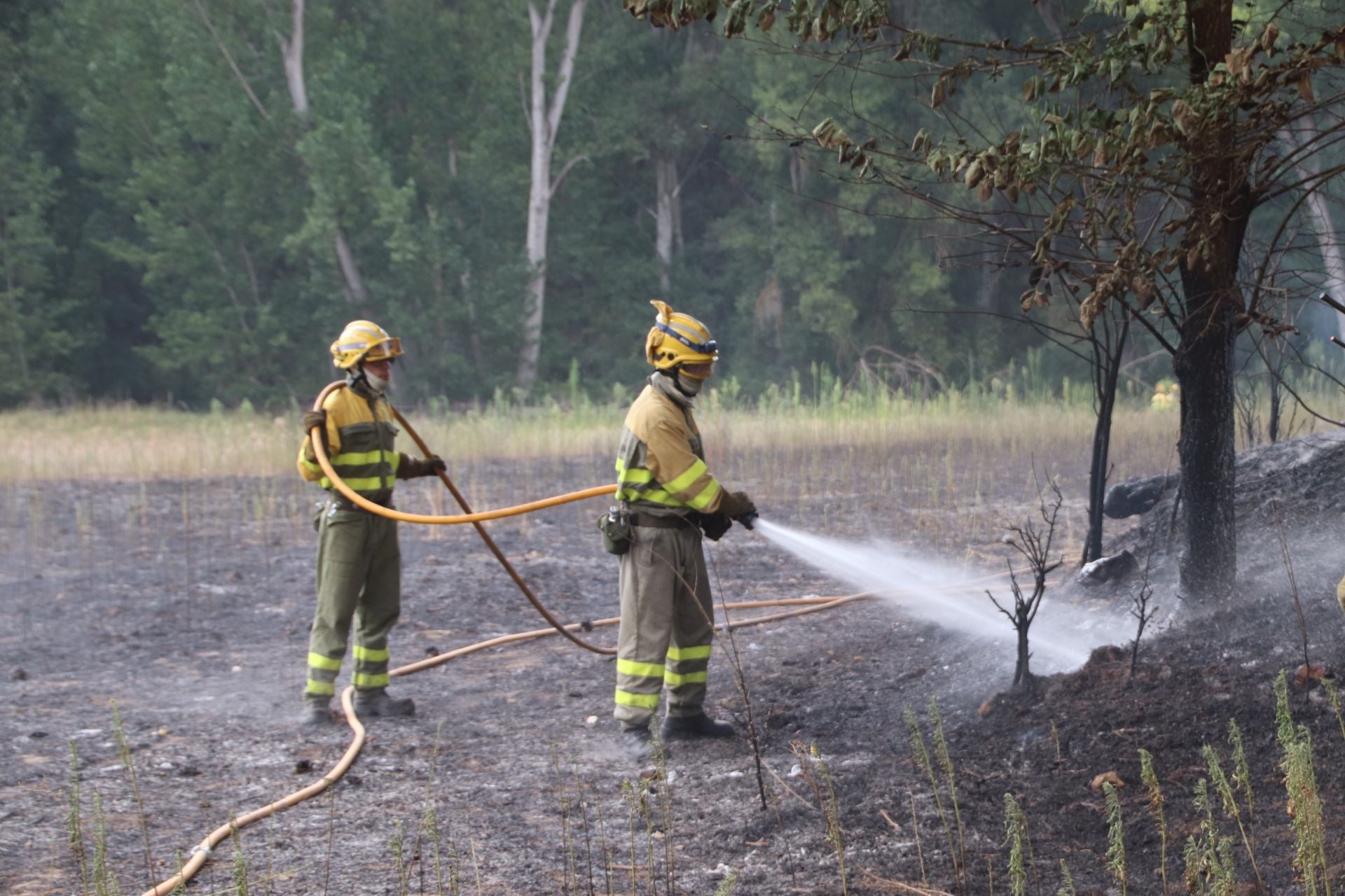 Fotos del incendio en Cuéllar junto al río Cega